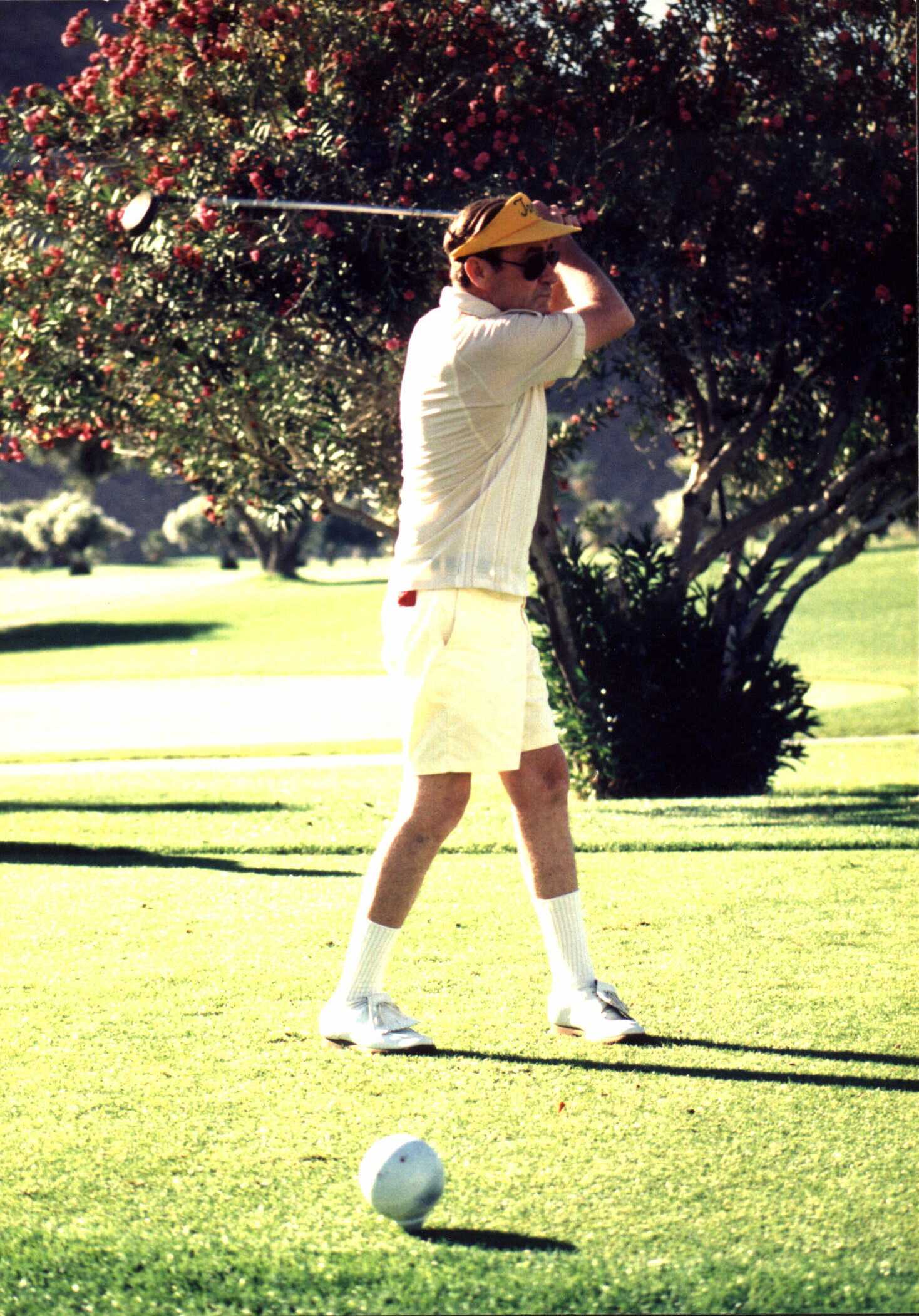 swing.jpg (304185 bytes)